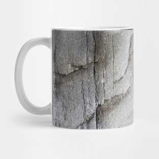 Volcanic Stone Surface Texture Mug